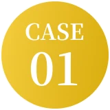 CASE 01
