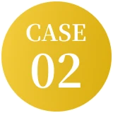 CASE 02