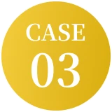 CASE 03
